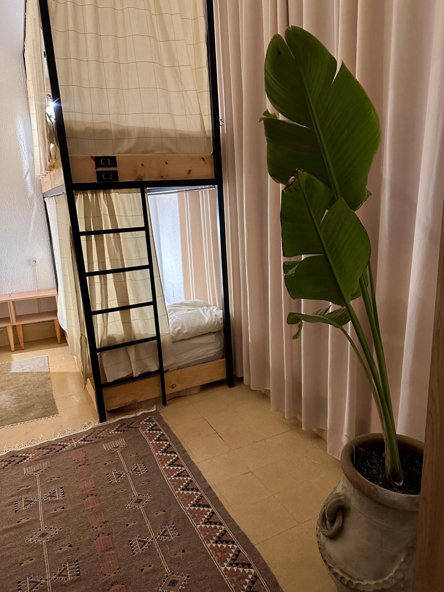 Nomads Hostel Tunisia المظهر الخارجي الصورة