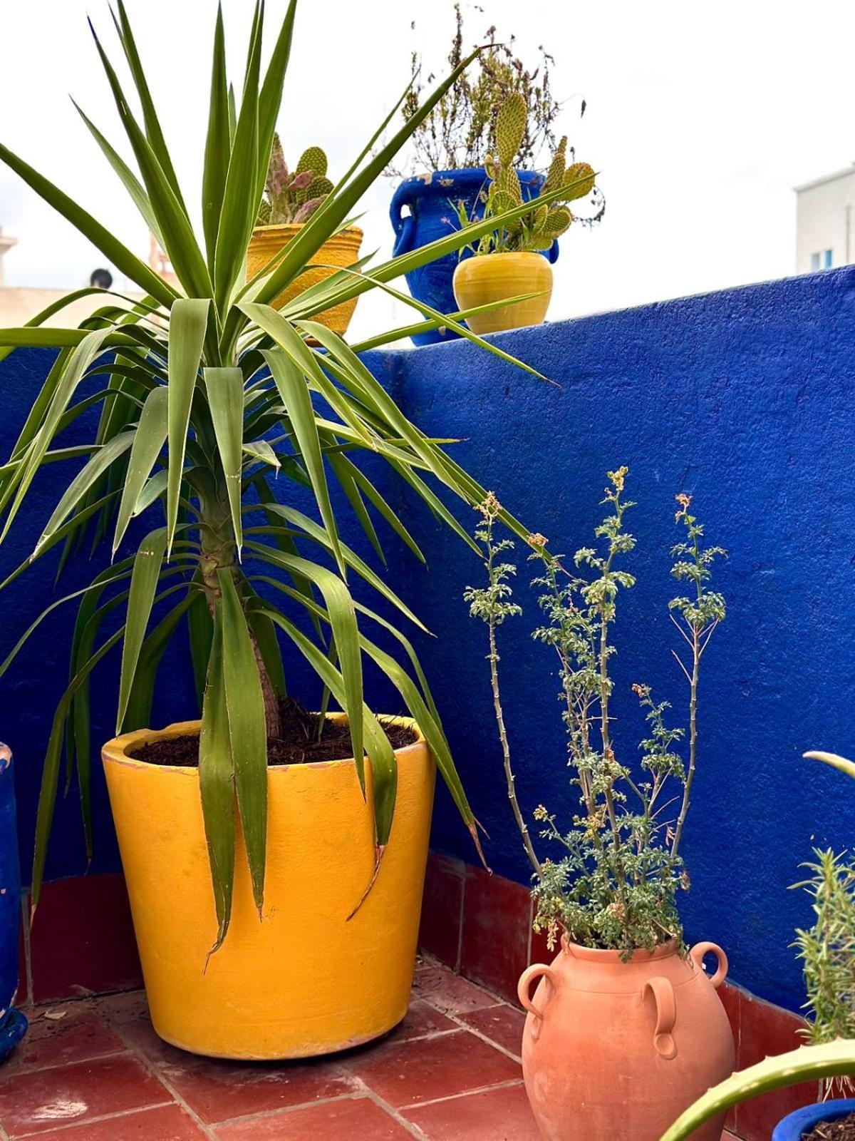 Nomads Hostel Tunisia المظهر الخارجي الصورة