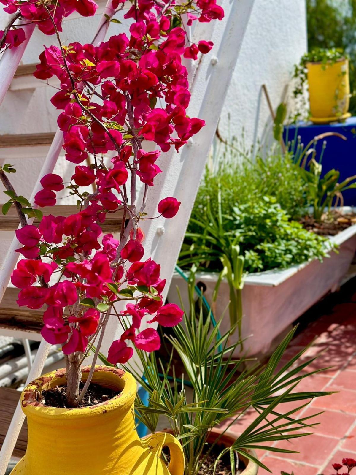 Nomads Hostel Tunisia المظهر الخارجي الصورة